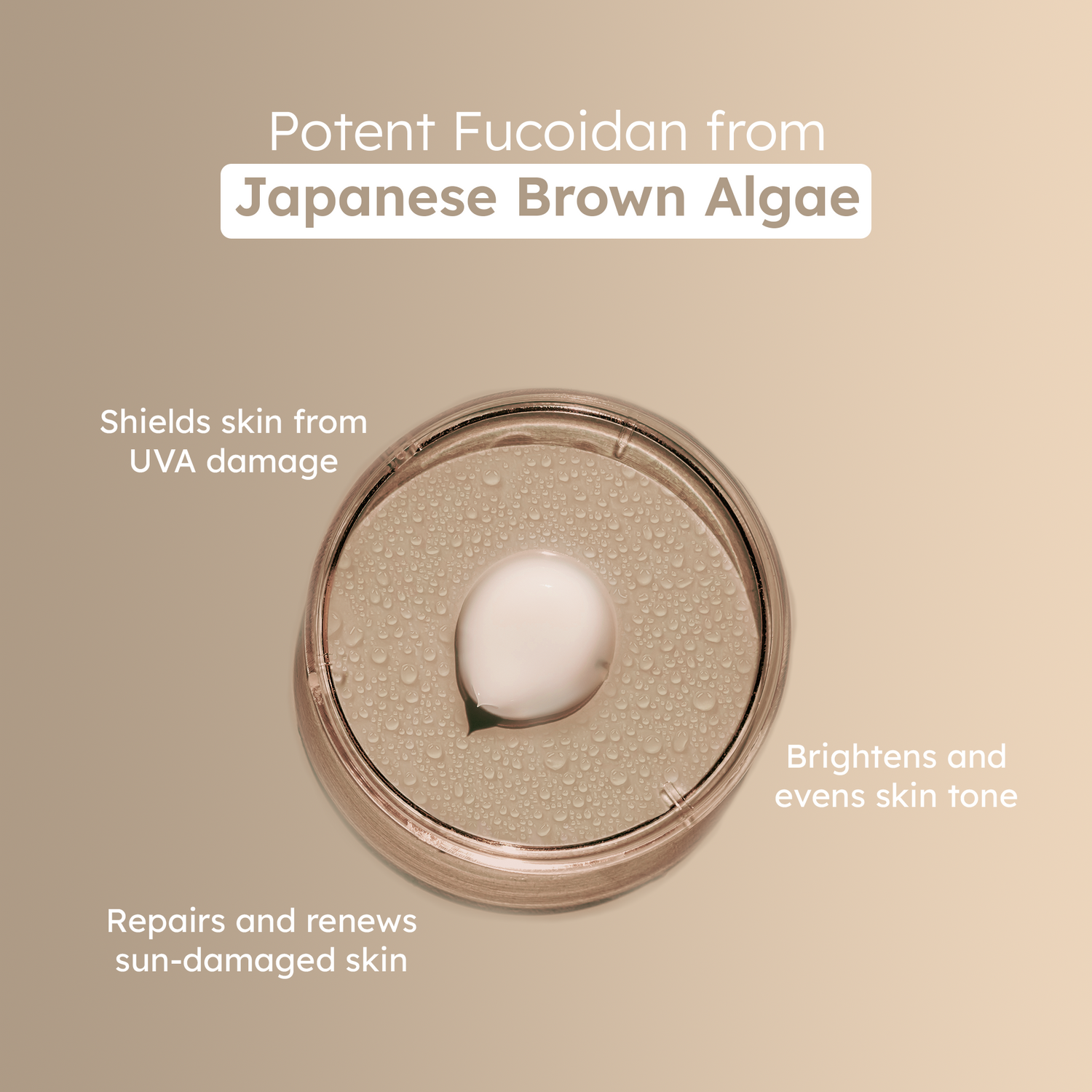Alga-Mineral Wave | Fucoidan Infused 100% Mineral Sunscreen | SPF 45 | PA+++