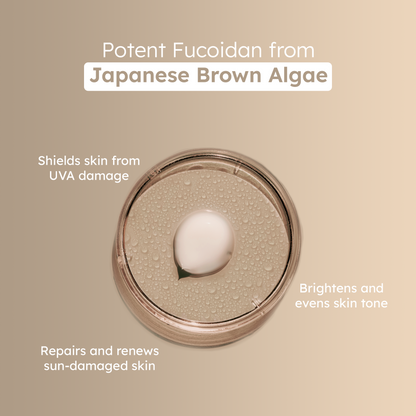 Alga-Mineral Wave | Fucoidan Infused 100% Mineral Sunscreen | SPF 45 | PA+++